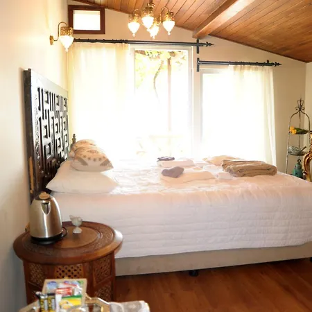 Hotel Lemon - Adult Only