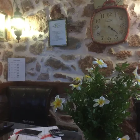 Lemon (adults Only) Отель Алания