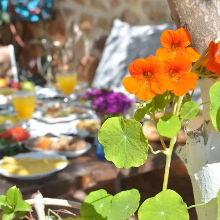 Lemon Alanya