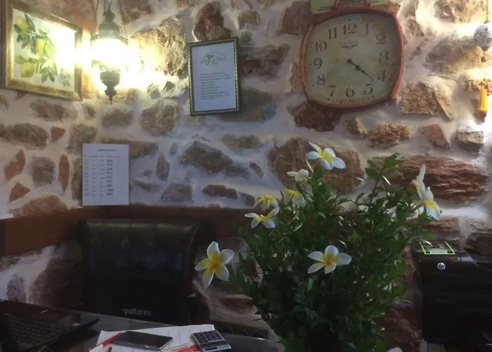 Lemon (adults Only) Szálloda Alanya