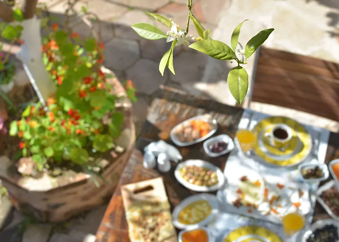 Lemon (adults Only) Szálloda