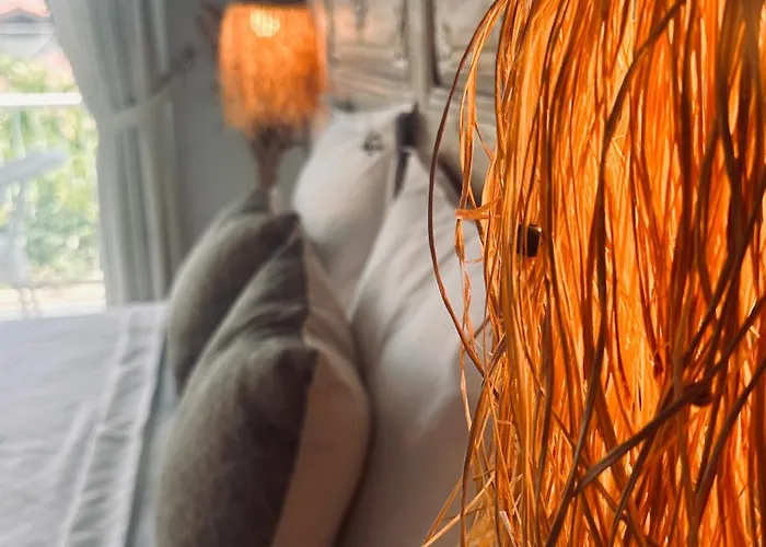 Hotel Lemon (adults Only)